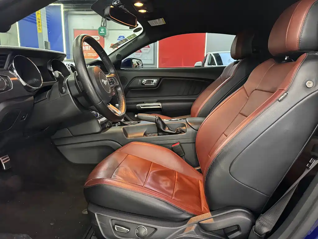 Ford Mustang — миниатюра 15