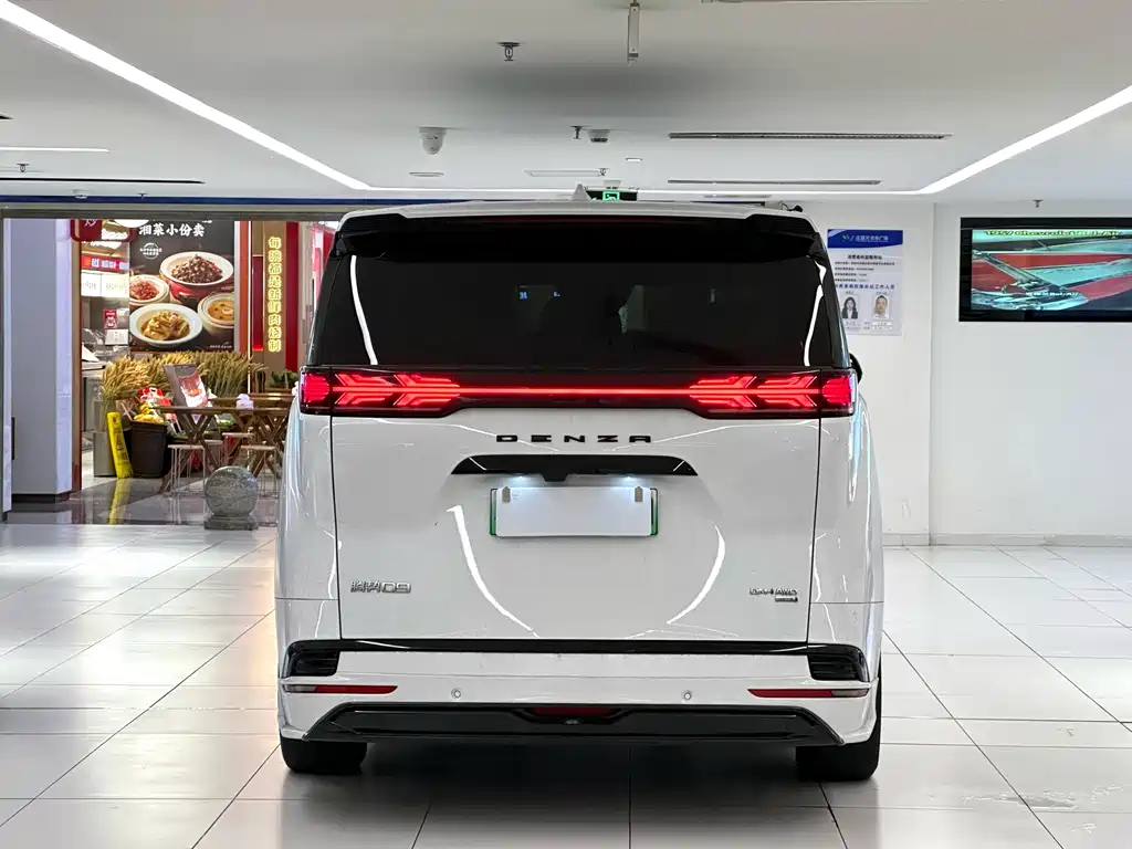 Denza Denza D9 — миниатюра 6