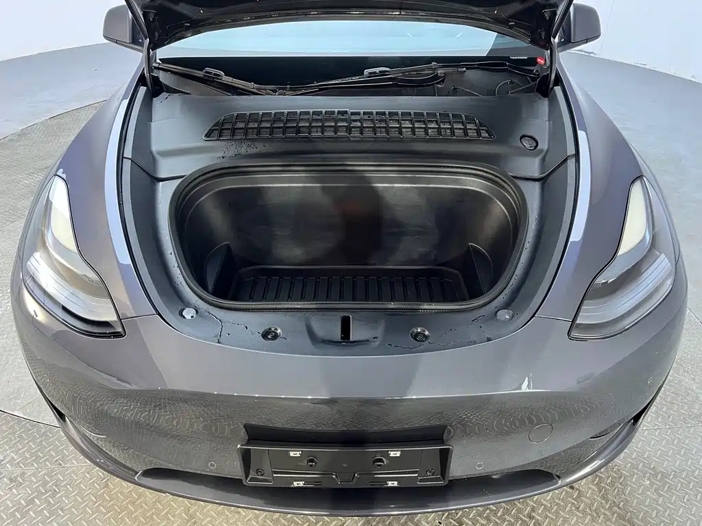 Tesla Model Y — миниатюра 20
