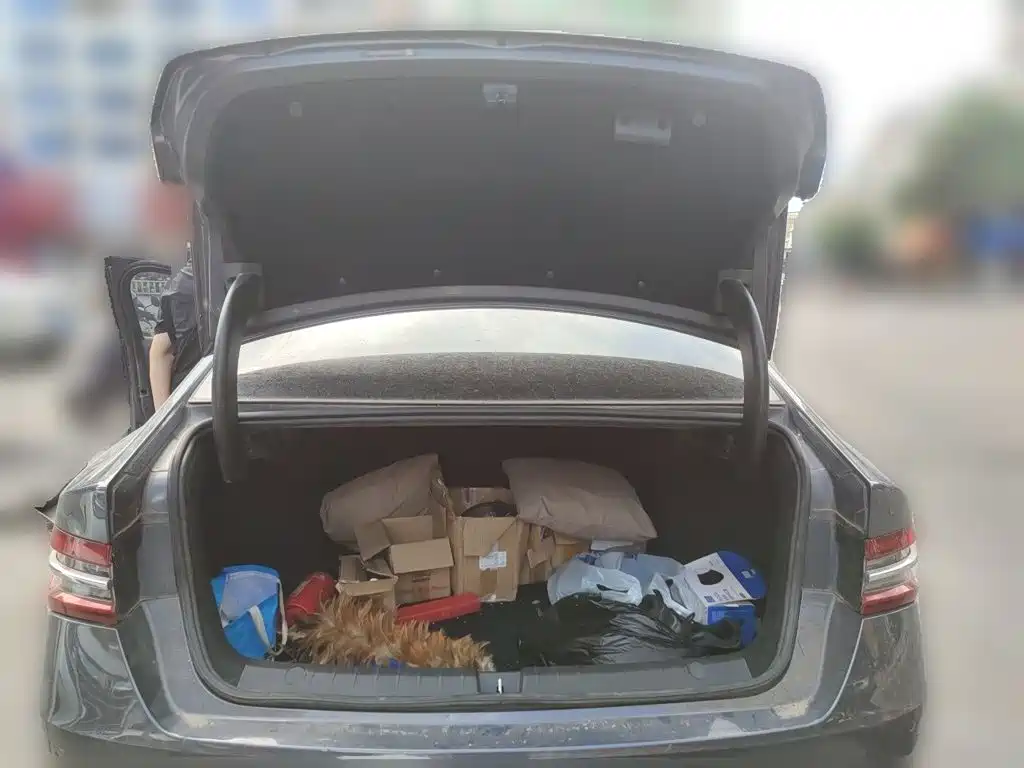 BYD Qin Pro — миниатюра 15