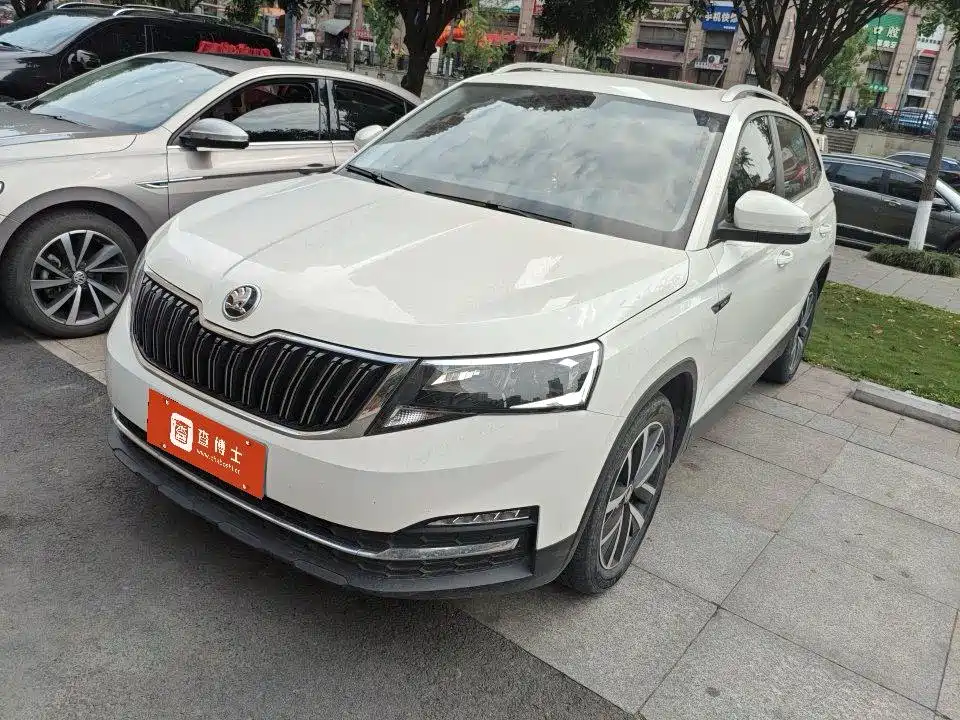 Купить Skoda Kamiq
