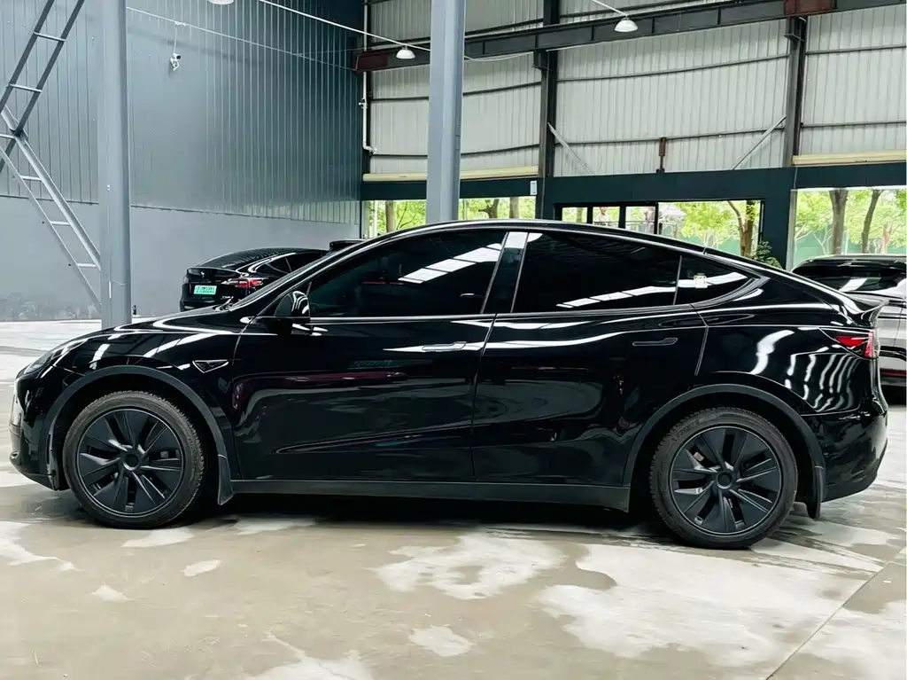 Tesla Model Y — миниатюра 8