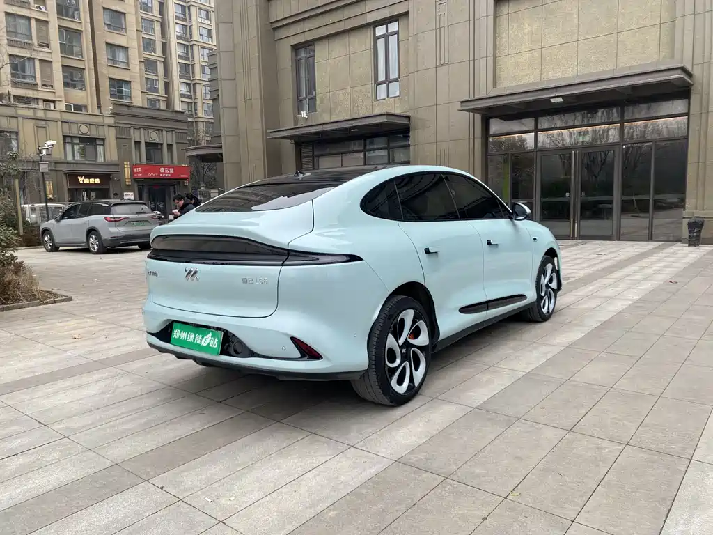 ZHIJI AUTOMOBILE ZHIJI LS6