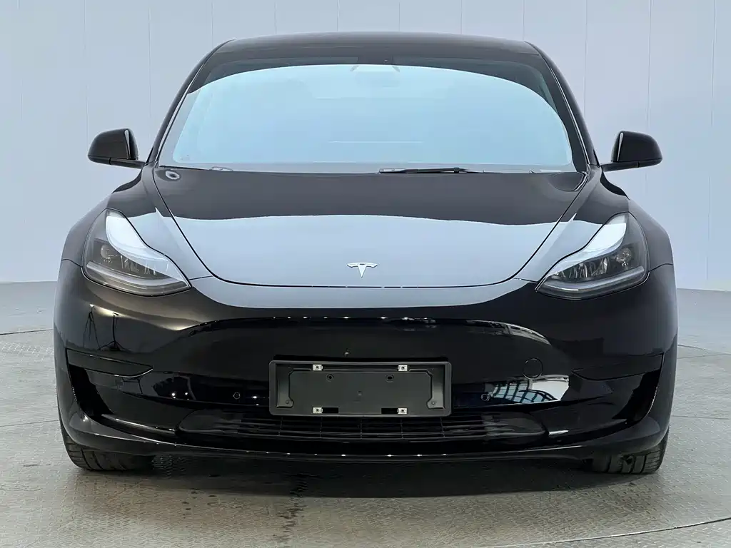 Tesla Model 3 — миниатюра 2