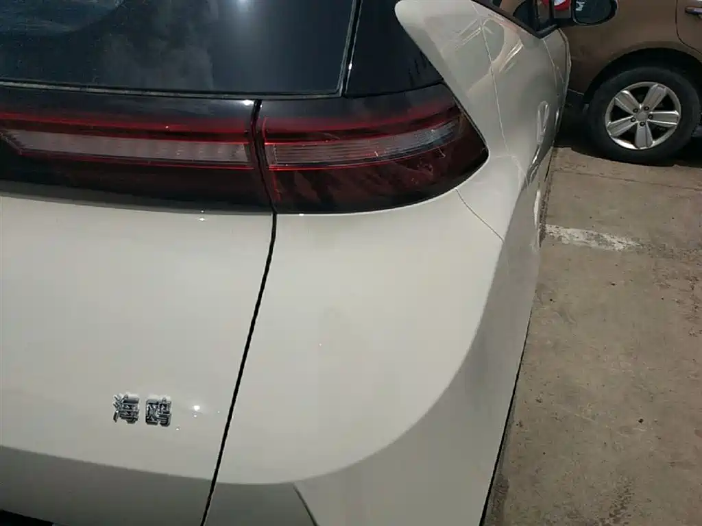 BYD Seagull 2025 Smart Drive 305km