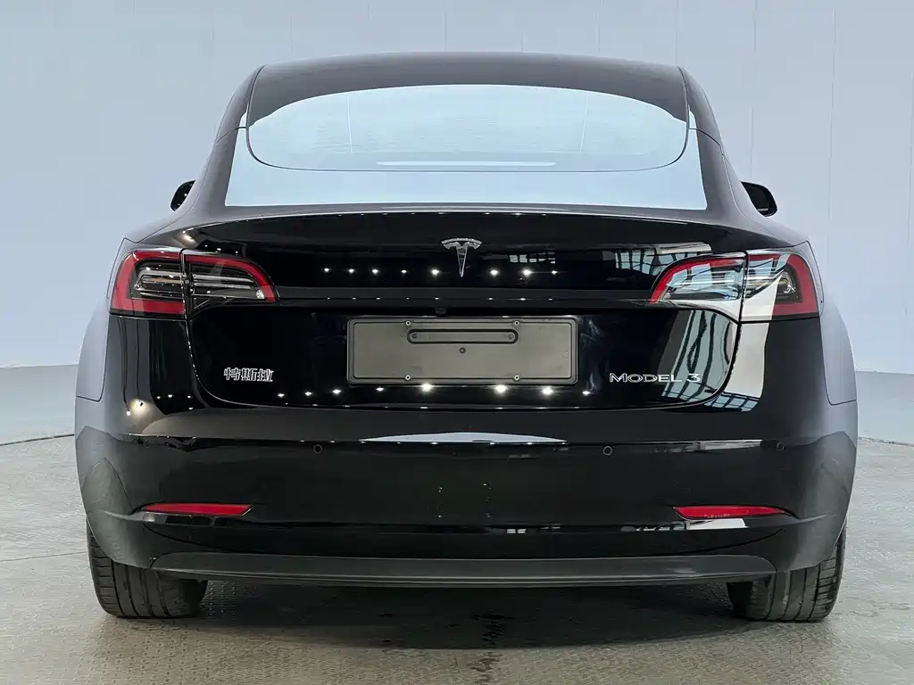 Tesla Model 3 — миниатюра 14
