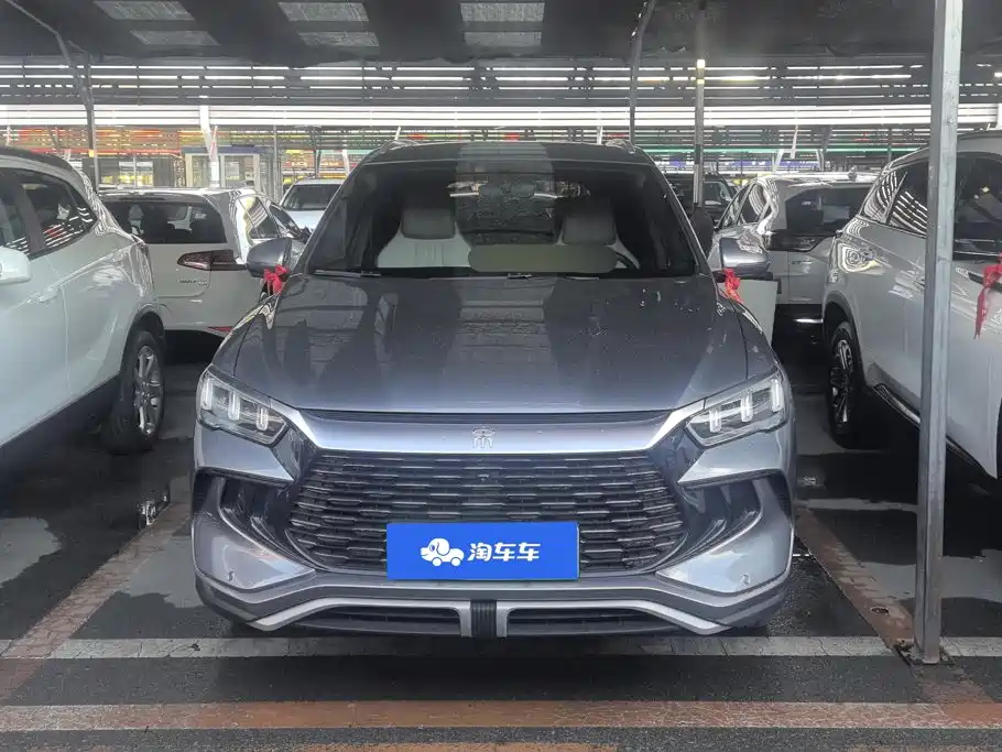 BYD Pro New Energy — миниатюра 2