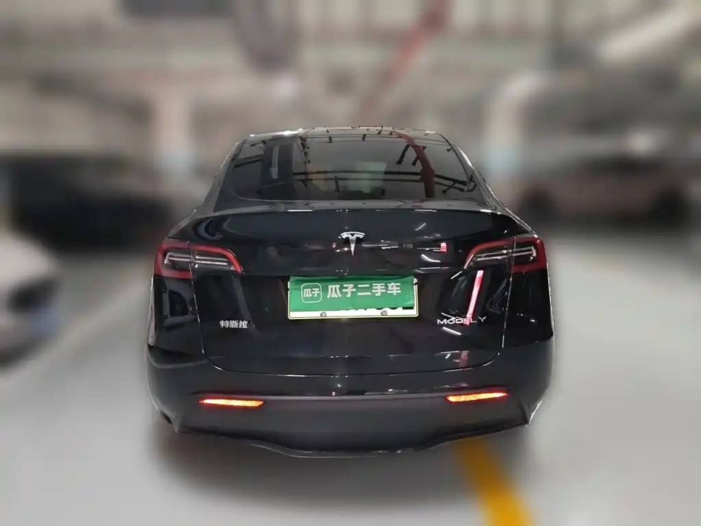 Tesla Model Y — миниатюра 4