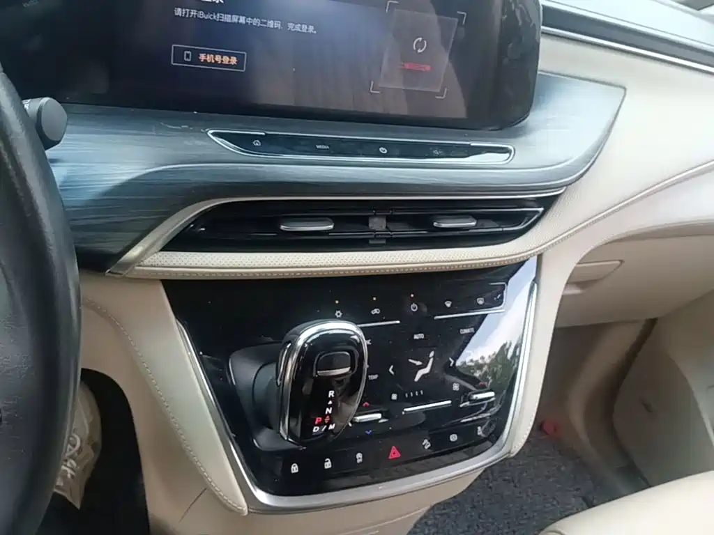 Buick GL8 — миниатюра 13