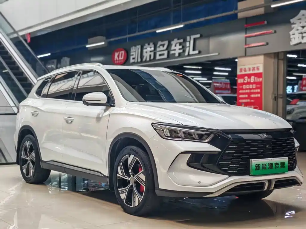 BYD Pro New Energy — миниатюра 2