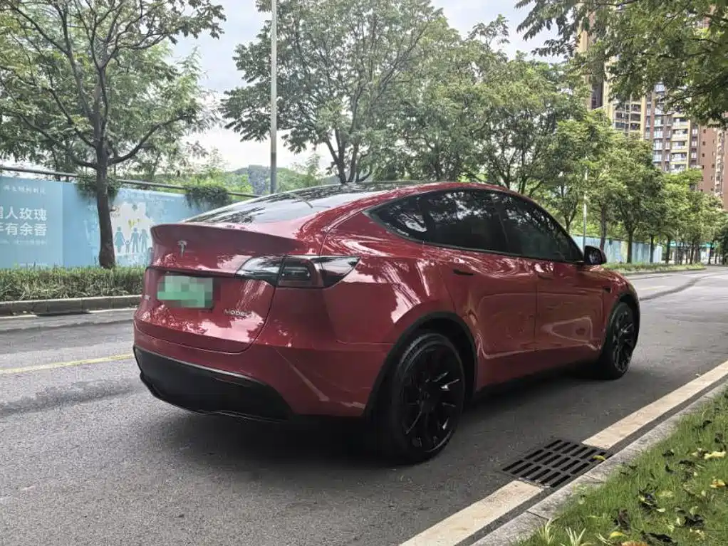 Tesla Model Y — миниатюра 5