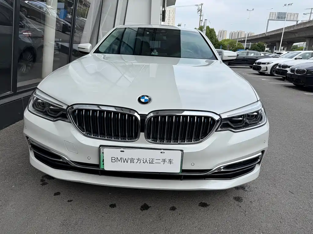 BMW 5 Series 5 2019 530Le Luxury