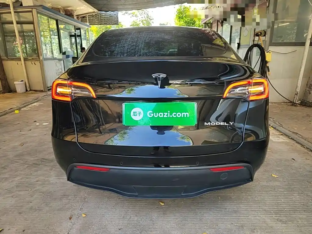 Tesla Model Y — миниатюра 6