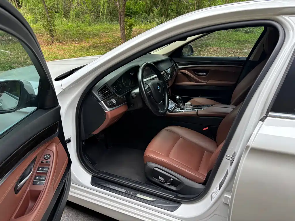BMW 5 Series 5 2017 525Li Lead