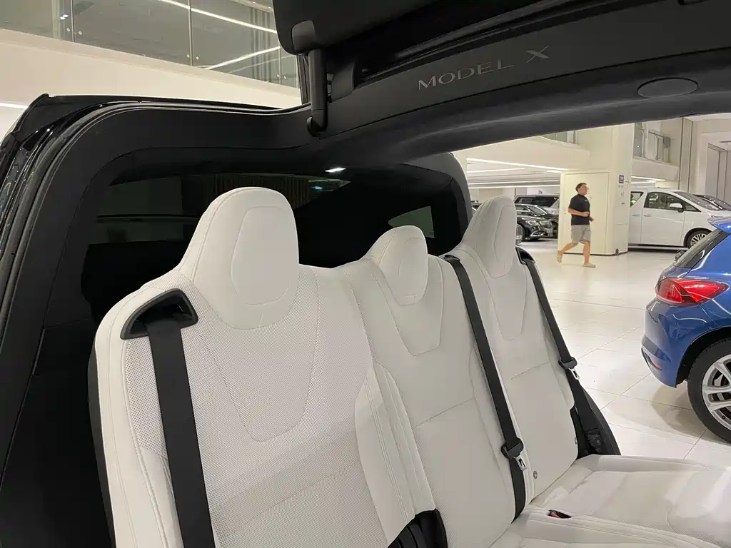 Tesla Model X — миниатюра 16