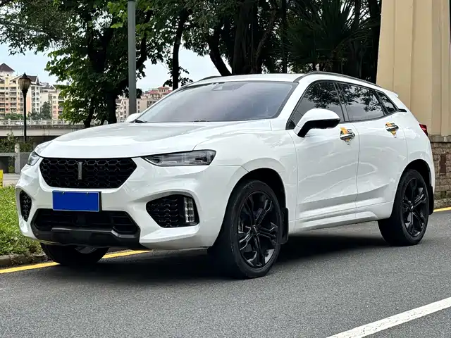 2018 Wey VV7
