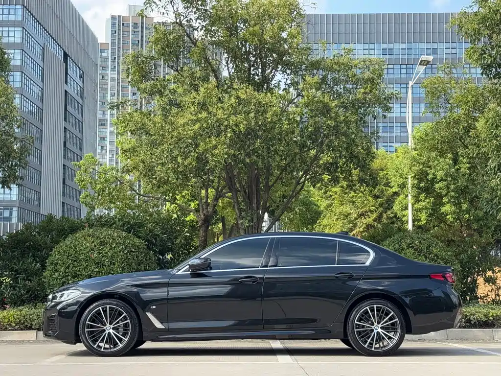 BMW 5 Series — миниатюра 3