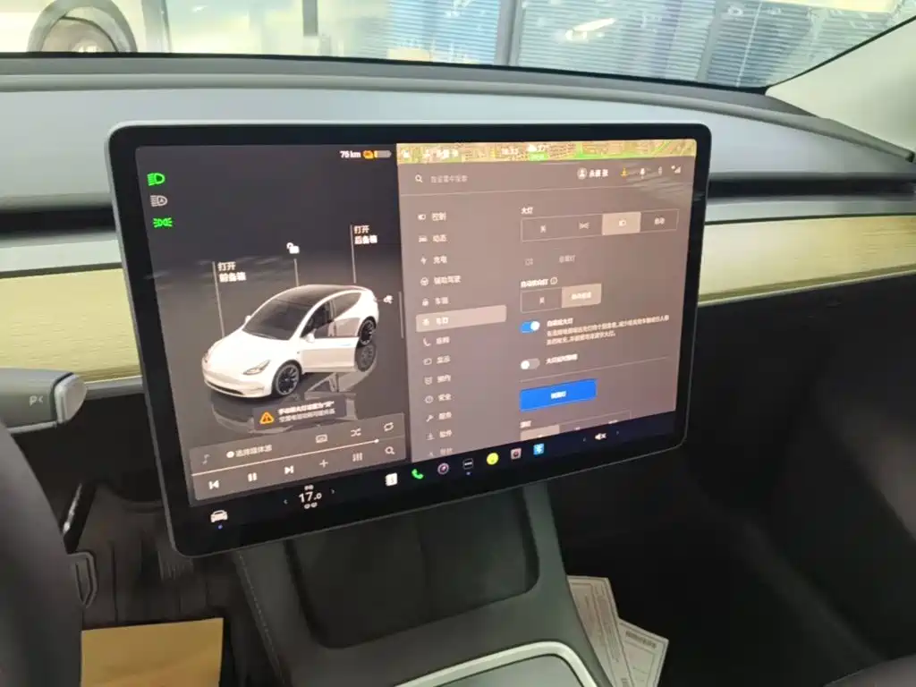 Tesla Model Y — миниатюра 13