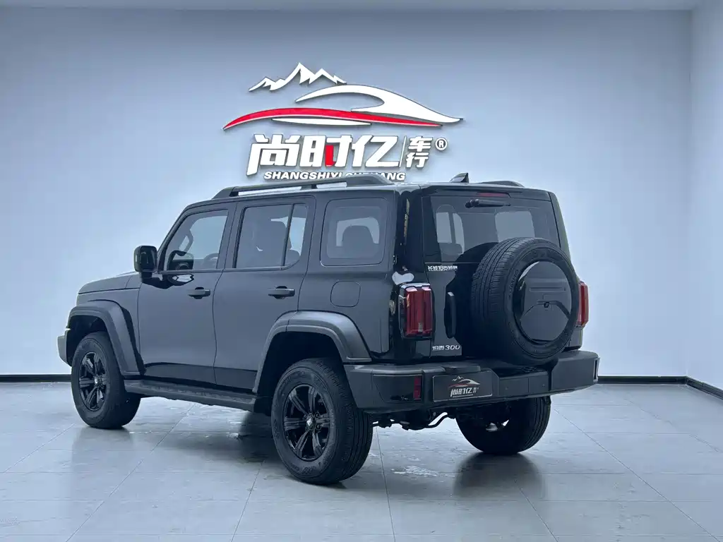 Tank 300 2024 2.0T