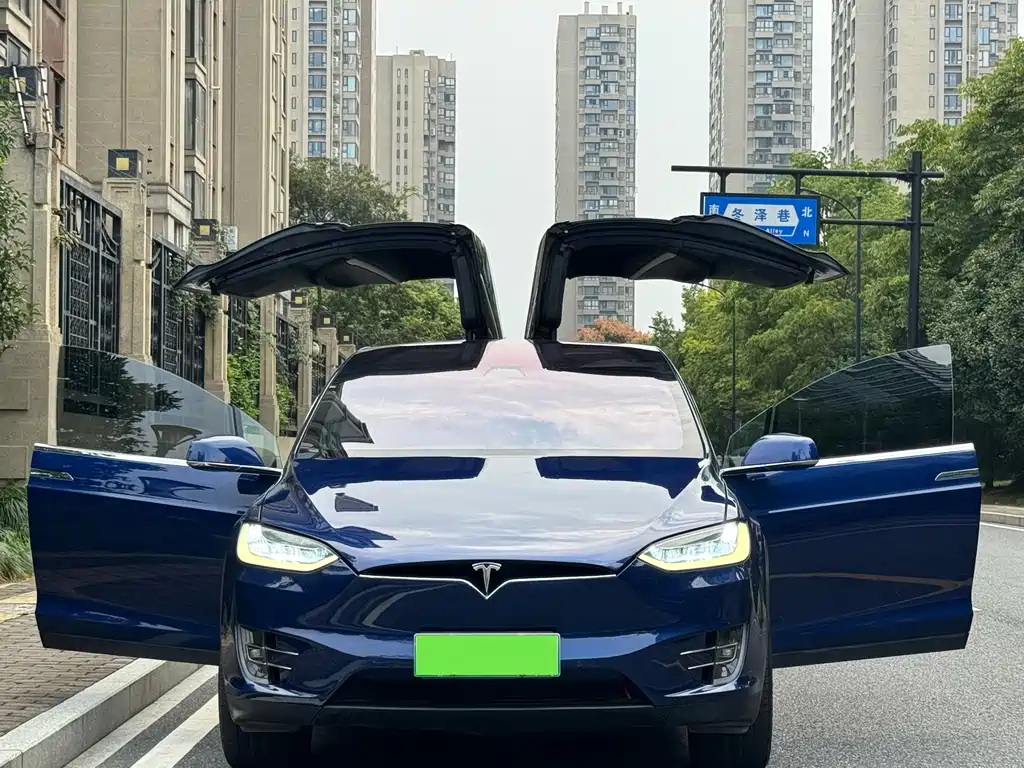 Tesla Model X — миниатюра 4