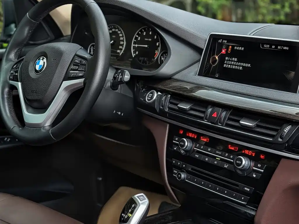 BMW X5 (Import) — миниатюра 11