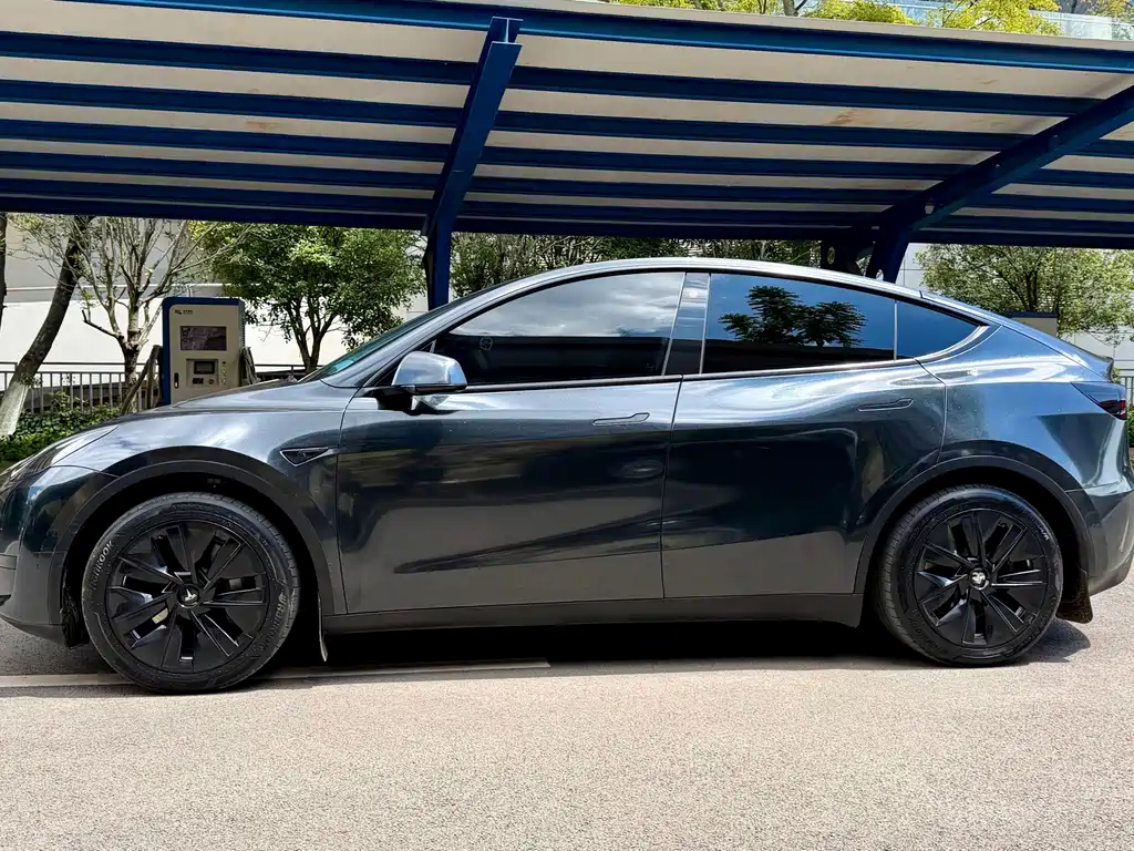 Tesla Model Y — миниатюра 7