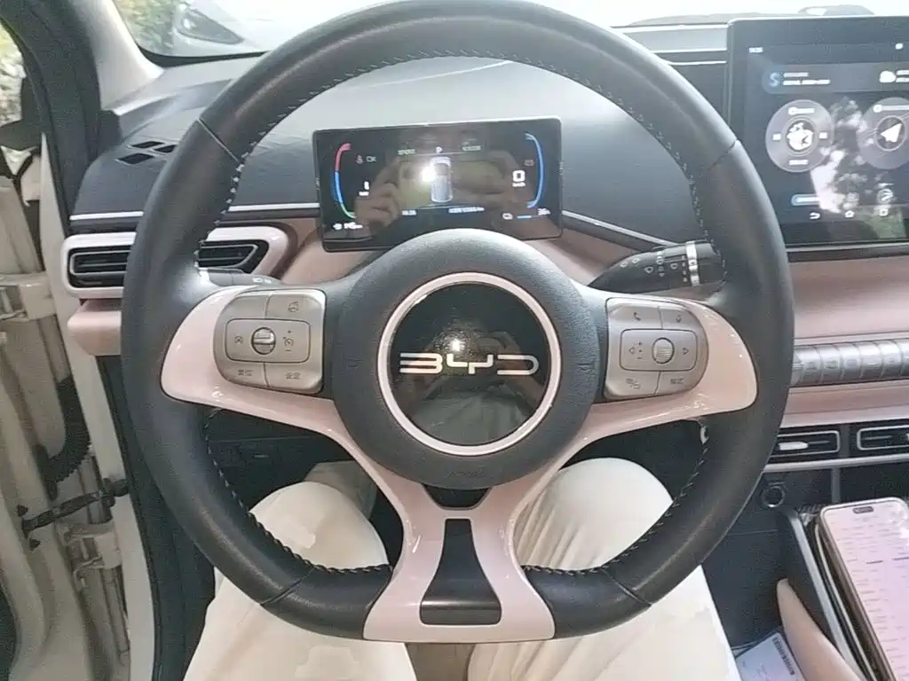 BYD Seagull — миниатюра 11