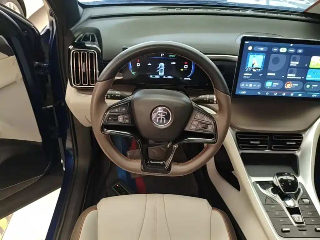 BYD Pro New Energy — миниатюра 11