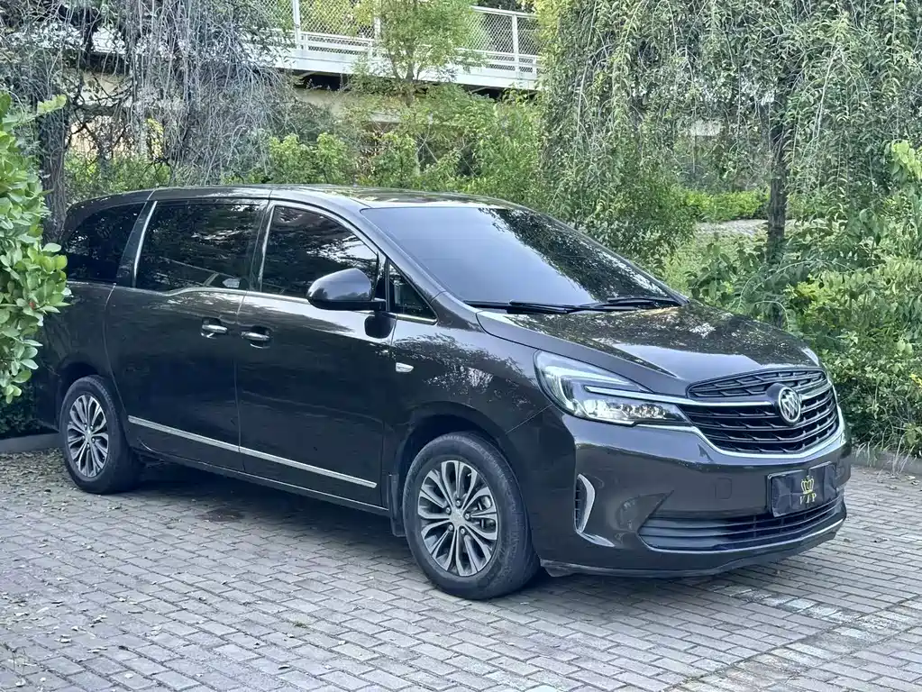 Buick GL8 — миниатюра 3