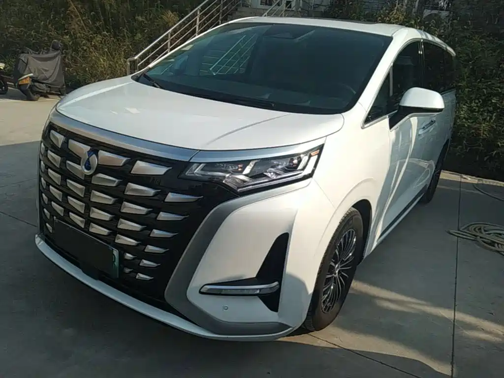 Denza Denza D9