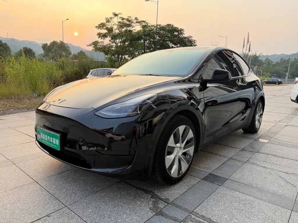 Tesla Model Y — миниатюра 2