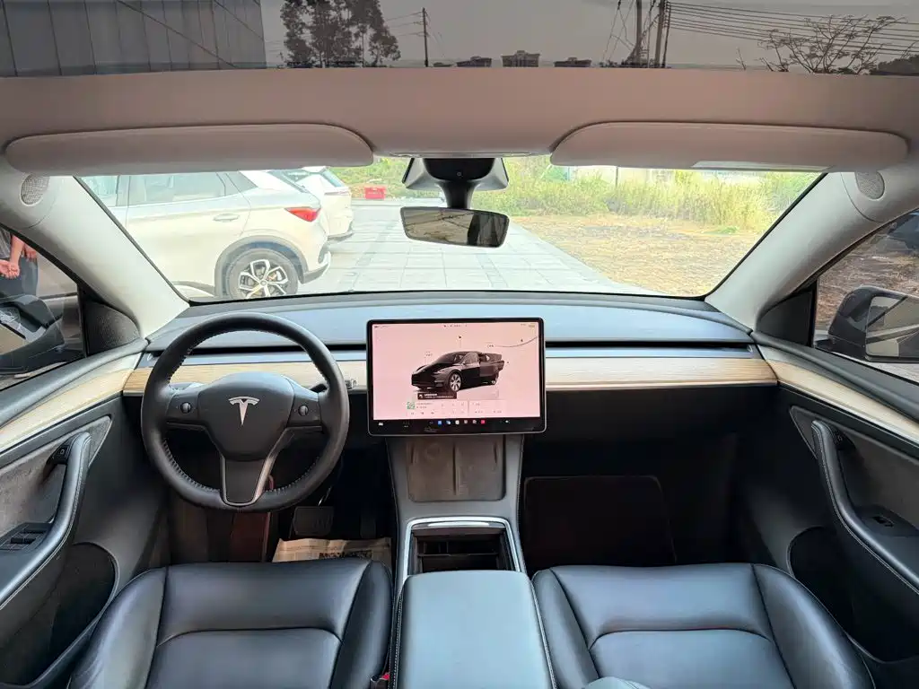 Tesla Model Y — миниатюра 13