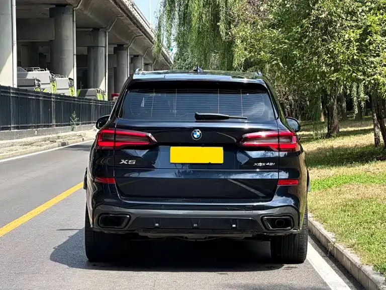 BMW X5 (Import) — миниатюра 4
