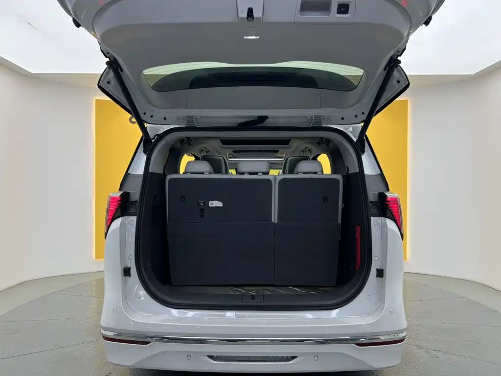 Buick GL8 — миниатюра 13