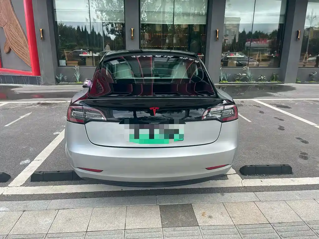 Tesla Model 3 — миниатюра 8
