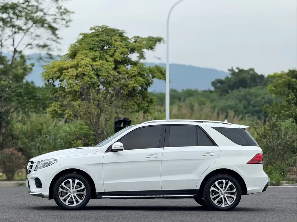 Mercedes-Benz GLE (Import) GLE 320 4MATIC, фото 17
