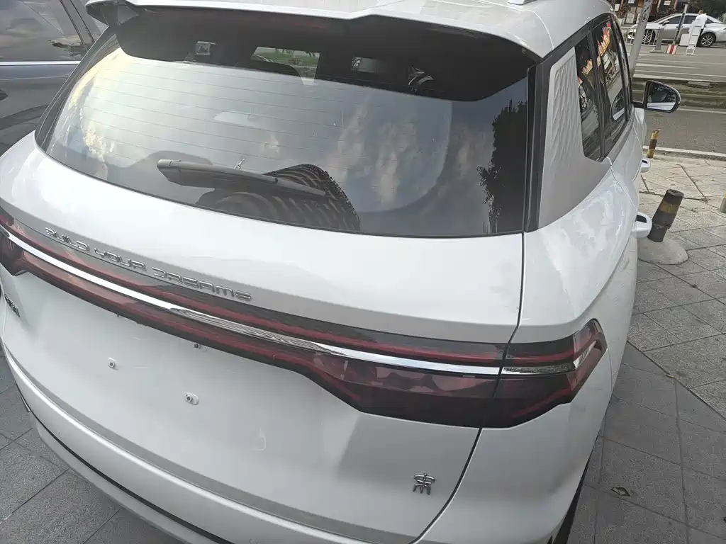 BYD Pro — миниатюра 6
