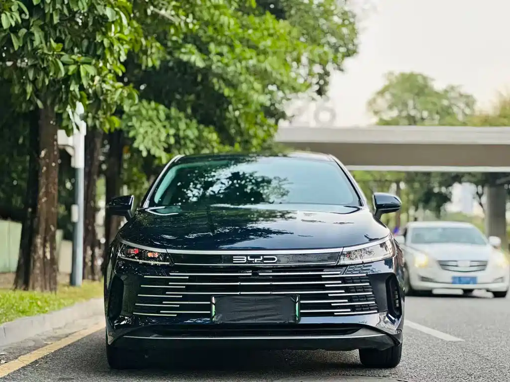BYD Destroyer 05 — миниатюра 2