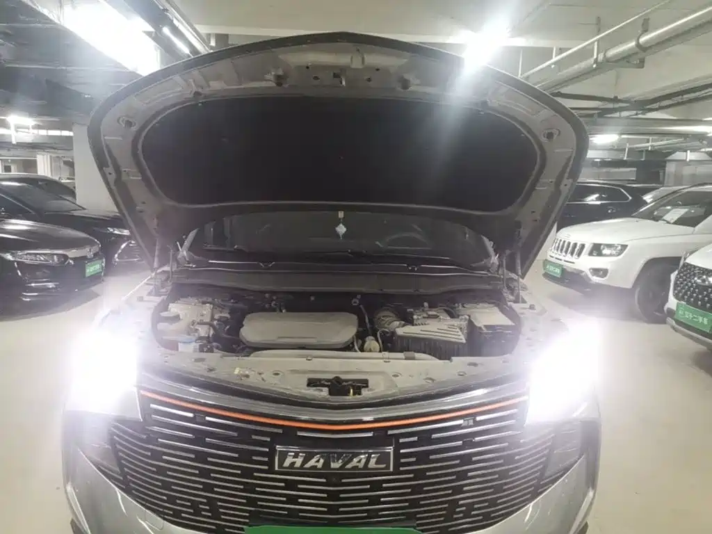 Haval Shenshou — миниатюра 22