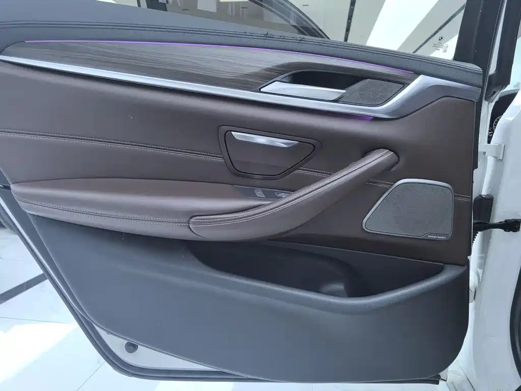 BMW 5 Series 5 2019 530Li Premium Luxury