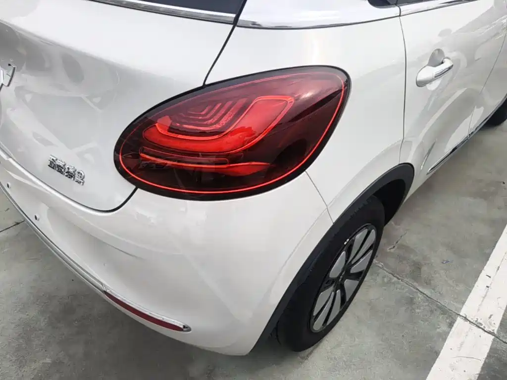 Wuling Binguo 2023 333km Enjoy +