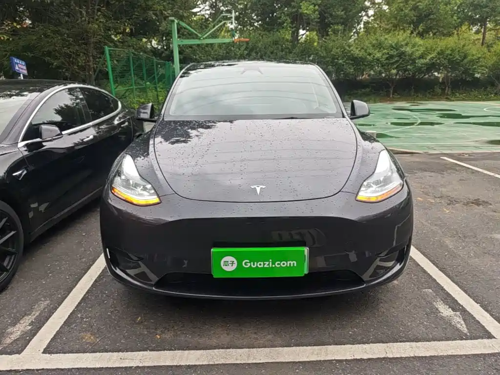 Tesla Model Y — миниатюра 3