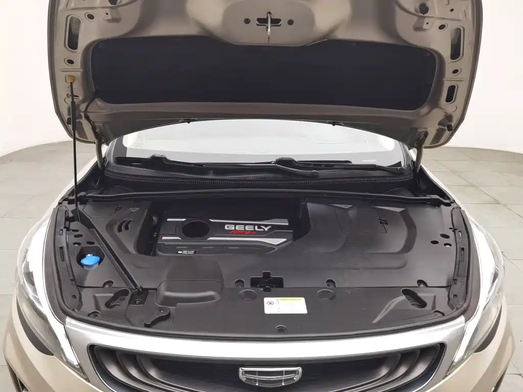 Geely Emgrand GS — миниатюра 6