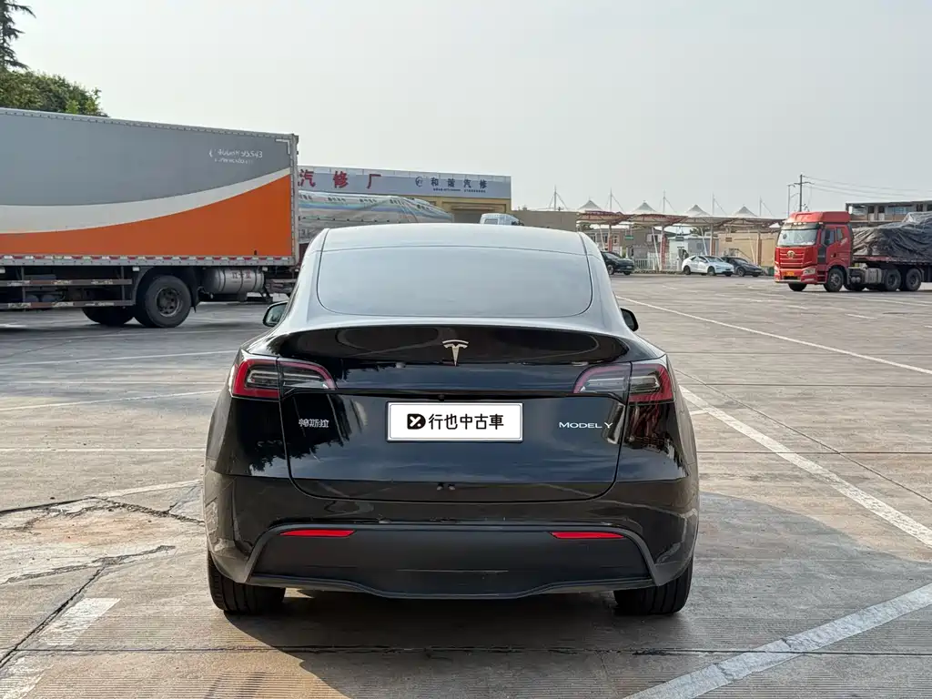 Tesla Model Y — миниатюра 5
