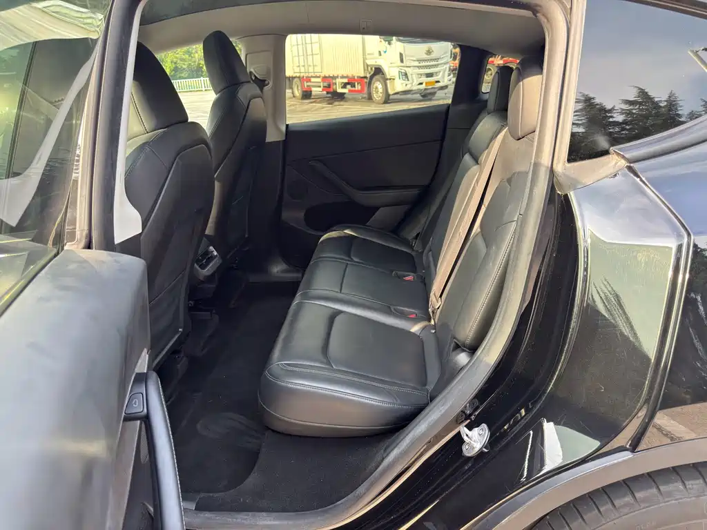 Tesla Model Y — миниатюра 10
