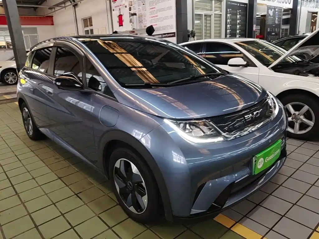 BYD Dolphin — миниатюра 4