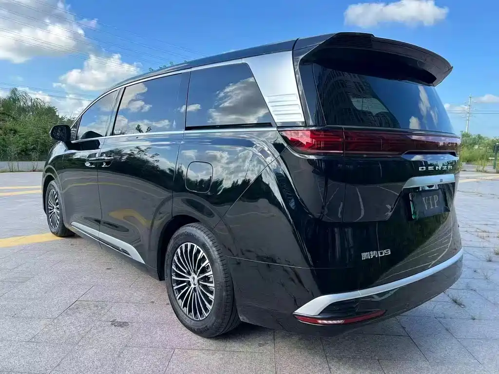 Denza Denza D9 — миниатюра 8