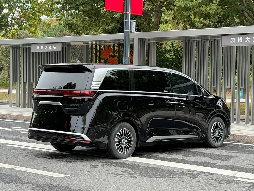 Denza Denza D9 — миниатюра 7