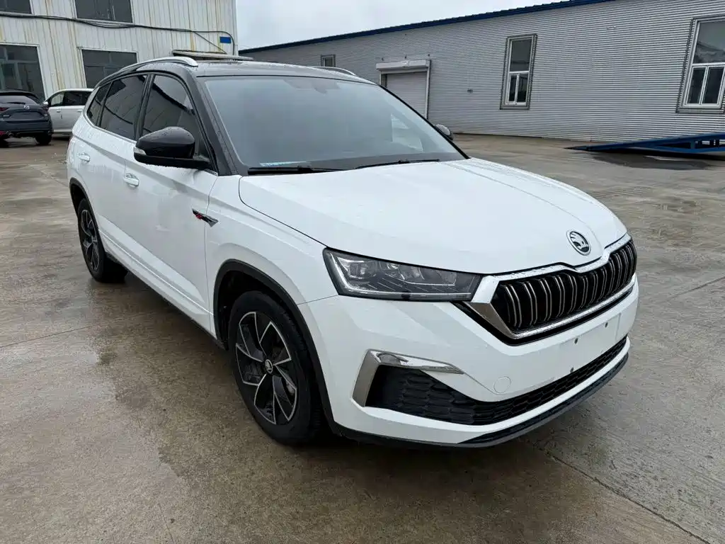 Skoda Kamiq — миниатюра 3
