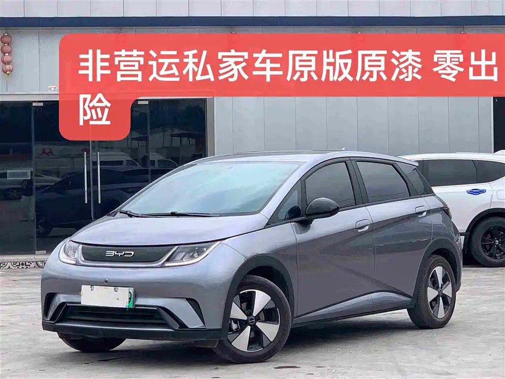 BYD Dolphin